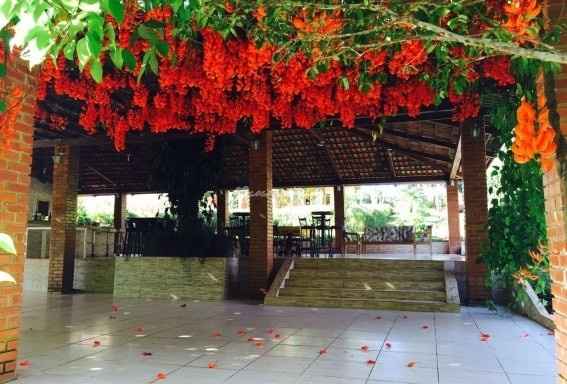 Me casarei na epoca destas flores o salão ficara todo florido