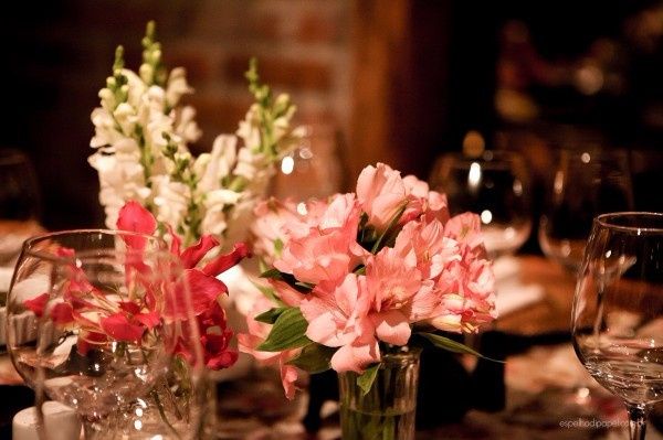 Flores