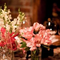 Flores