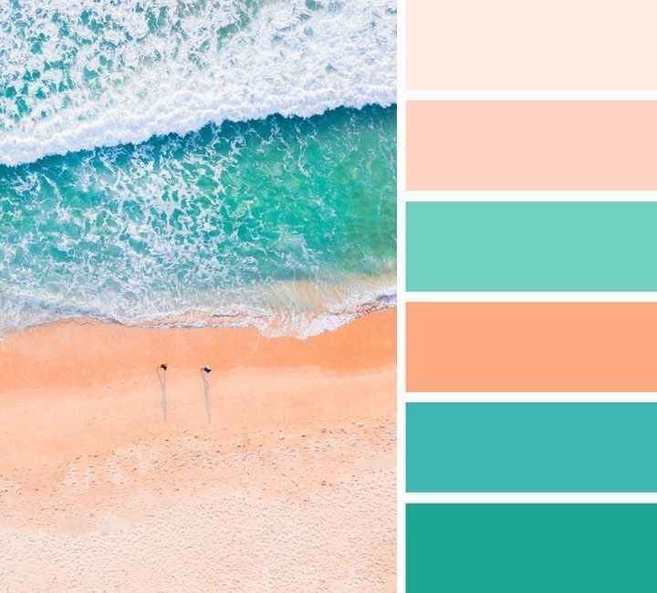 Paleta de cores - 2