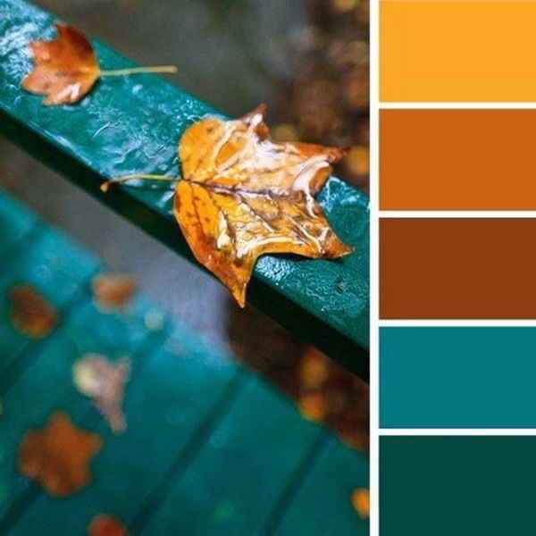Paleta de cores - 3