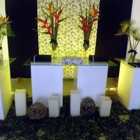 Esta sera minha decoraçao