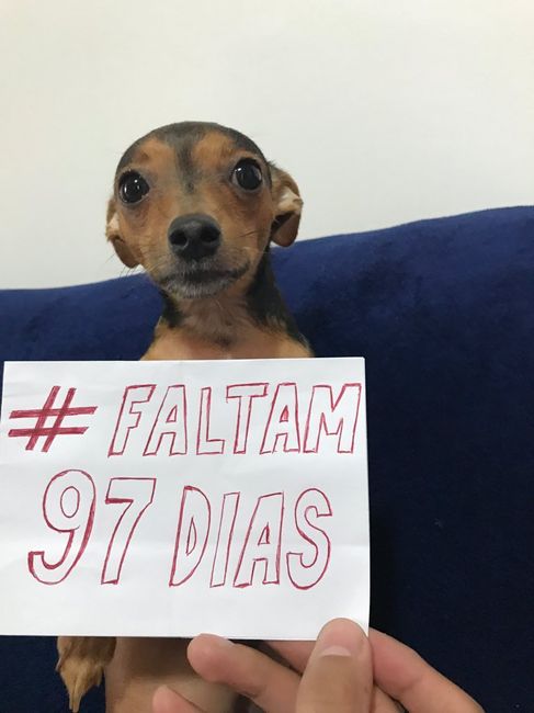 Sobre nossa contagem regressiva #vemver - 5