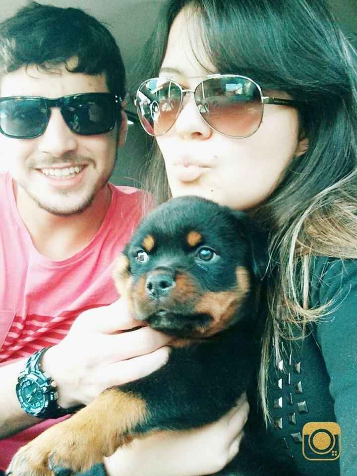 Meus amores 