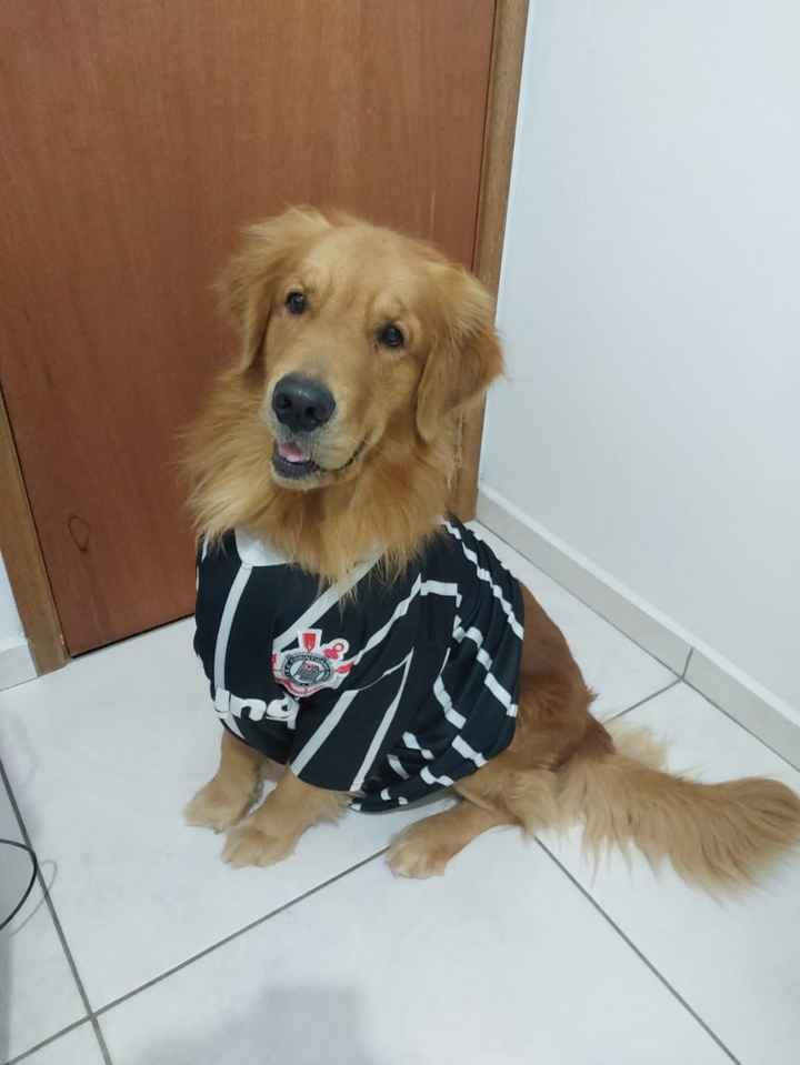 Já moram juntos? ❤️❤️🎁 - 1