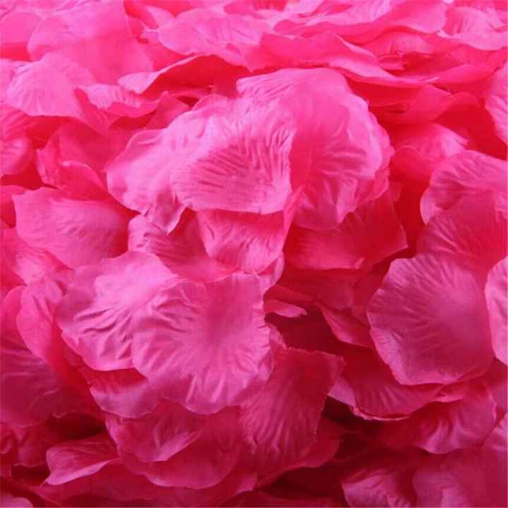 Pétalas de rosas para floristas jogar... - 5