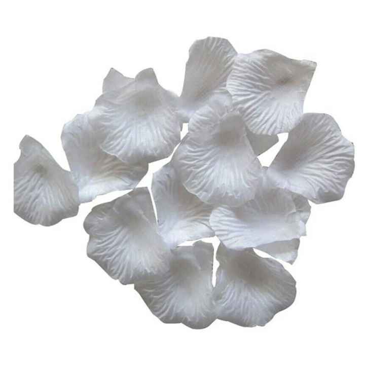 Pétalas de rosas para floristas jogar... - 7