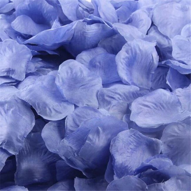 Pétalas de rosas para floristas jogar... - 6