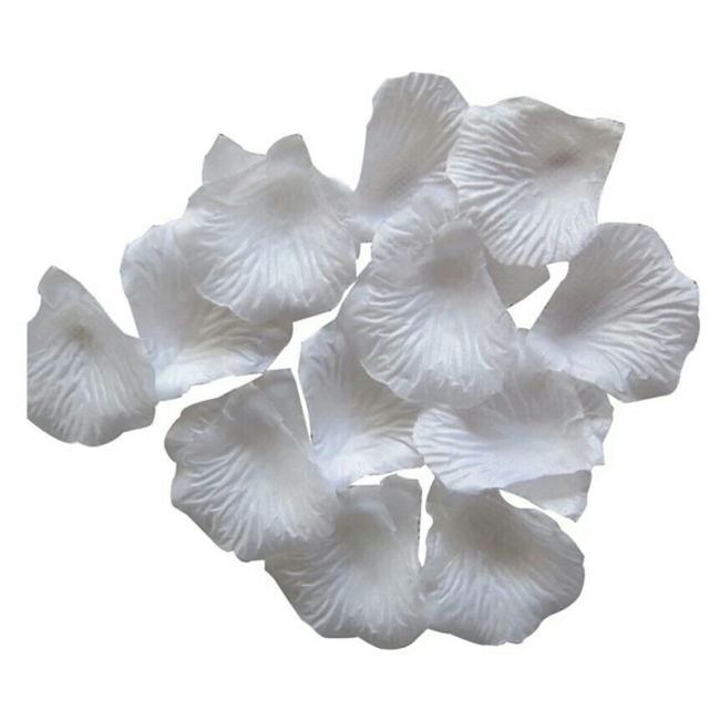 Pétalas de rosas para floristas jogar... - 7