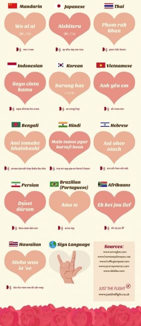 o amor traduzido