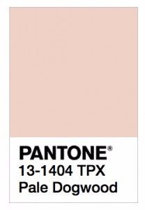 cores pantone