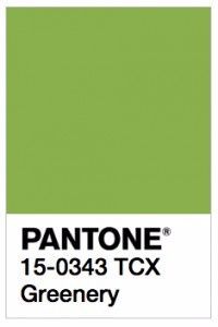 cores pantone