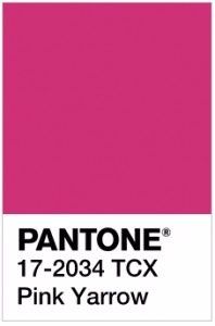 cores pantone