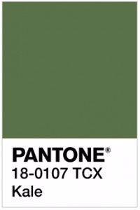 cores pantone