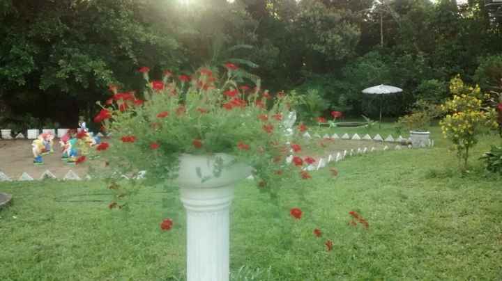 Fechei o lugar do casamento venham ver. - 2