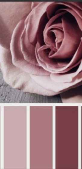 Cor da "gravata" dos padrinhos com paleta Rose seco. - 1