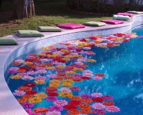 Pode colocar essas flores 