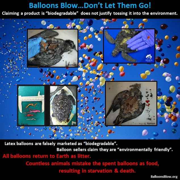 Soltar balões de gás hélio e problemas ambientais - 2