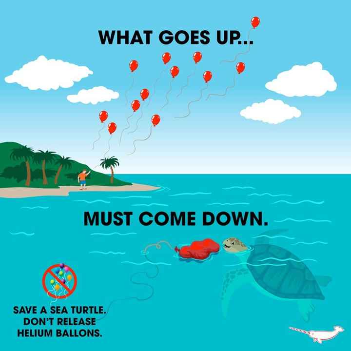 Soltar balões de gás hélio e problemas ambientais - 6
