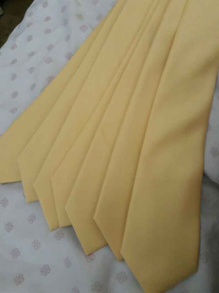 Gravatas padrinhos #vemver - 1