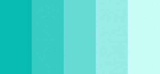 Paleta - 1