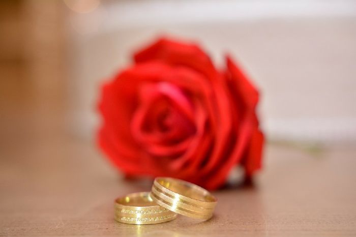 Fotos oficiais do meu casamento 23/11, venham ver 👰🤵❤️ - 11