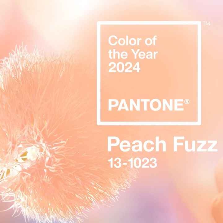 Cor Pantone 2024!!! - 2