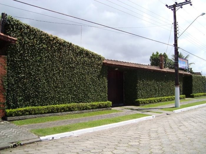 Espaço Flor House