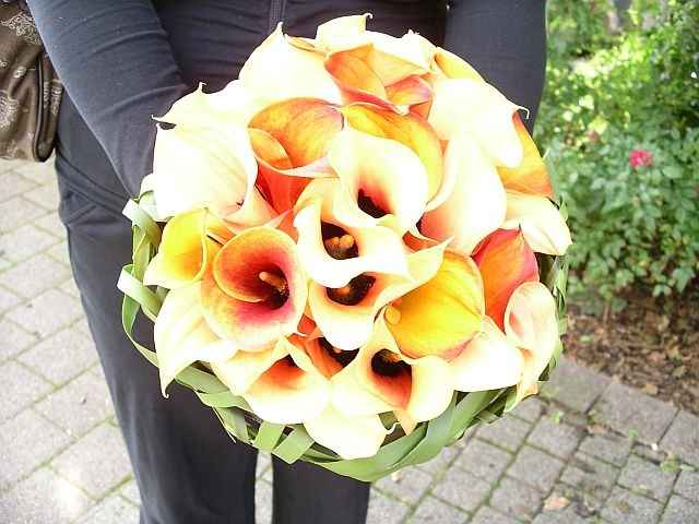 Bouquet de Callas
