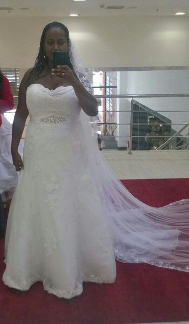 Meu vestido de noiva... - 1