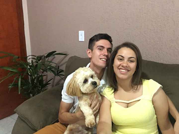 Quem aqui tem um filho de quatro patas ? #vemver - 1