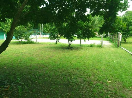 Espaço verde