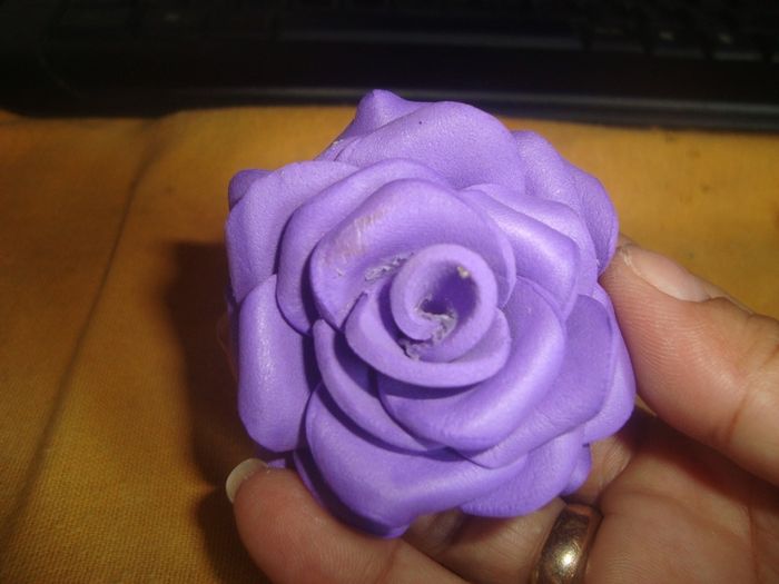 Rosa de EVA