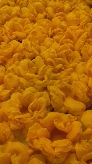Forminnhas para os doces - 1