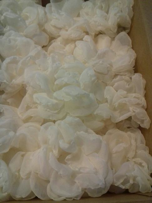 Forminnhas para os doces - 2