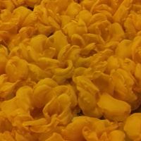 Forminnhas para os doces - 1