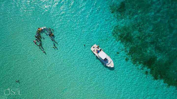 Casamento debaixo d'agua 🌊 #vemver - 4