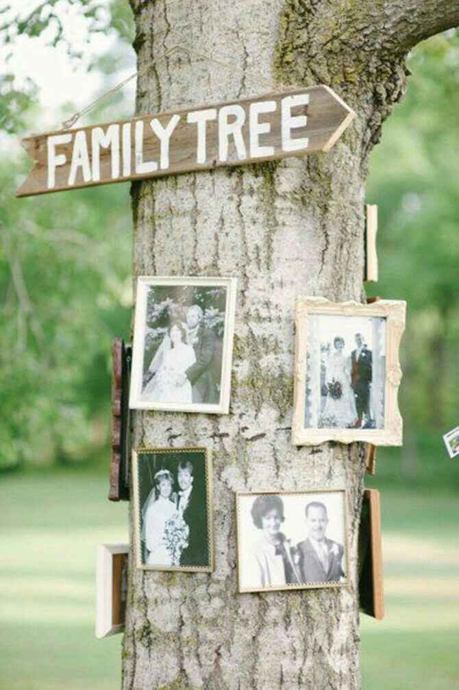 Inspiração decoração com fotos! 📷 - 12