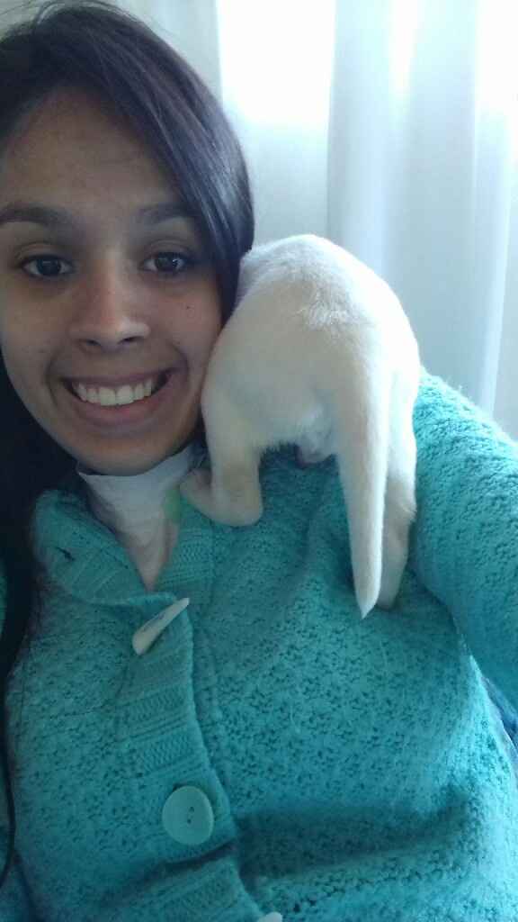 Apresento a vocês, nosso filho 🐶💙 #vemver! - 8