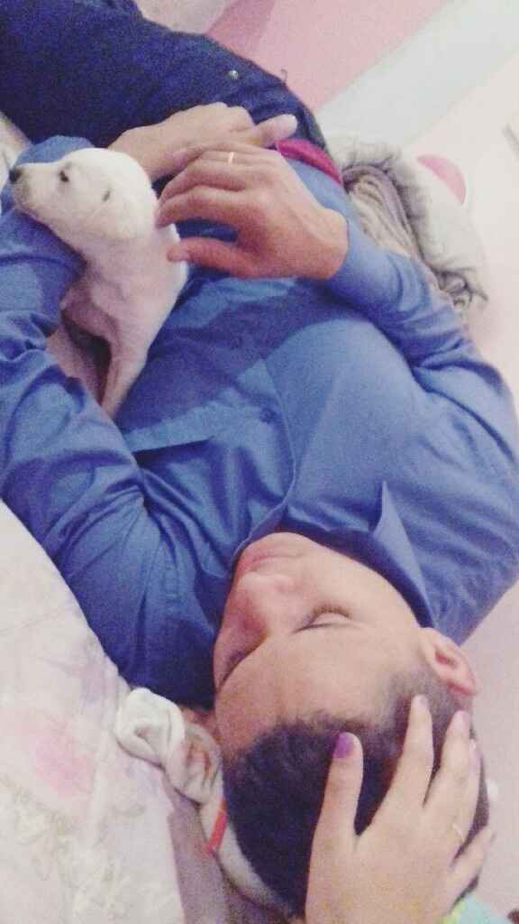 Apresento a vocês, nosso filho 🐶💙 #vemver! - 14
