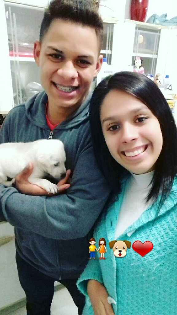Apresento a vocês, nosso filho 🐶💙 #vemver! - 17