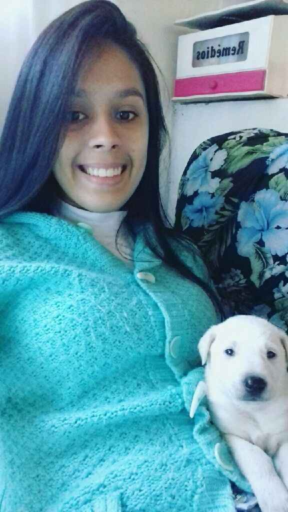 Apresento a vocês, nosso filho 🐶💙 #vemver! - 18
