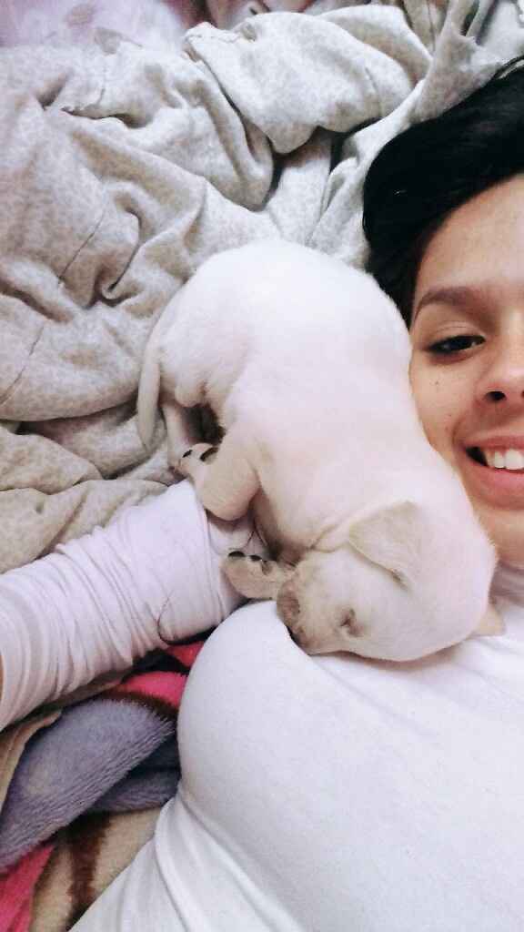 Apresento a vocês, nosso filho 🐶💙 #vemver! - 19