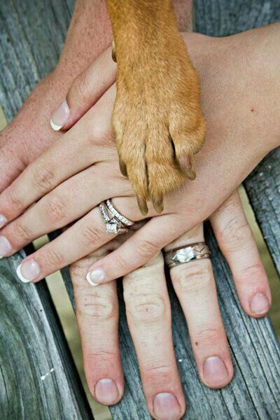 Fotos para fazer com as alianças 💍💕 - 4