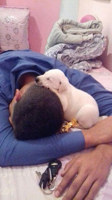 Apresento a vocês, nosso filho 🐶💙 #vemver! - 13