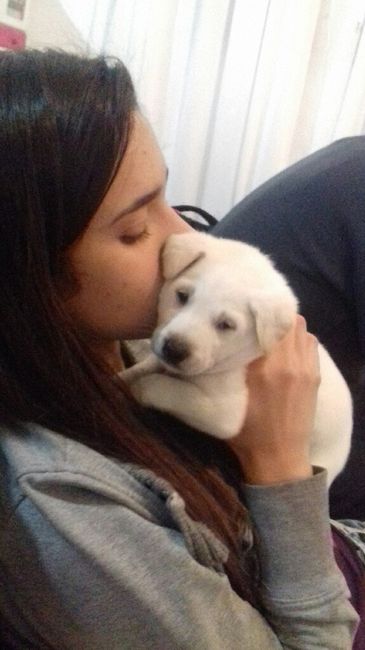 Apresento a vocês, nosso filho 🐶💙 #vemver! - 15