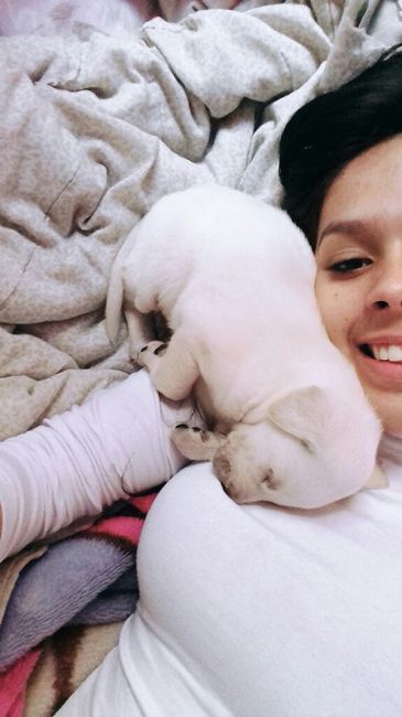 Apresento a vocês, nosso filho 🐶💙 #vemver! - 19