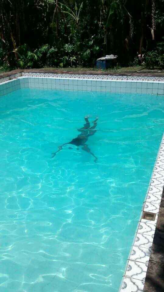 Sitio - 3