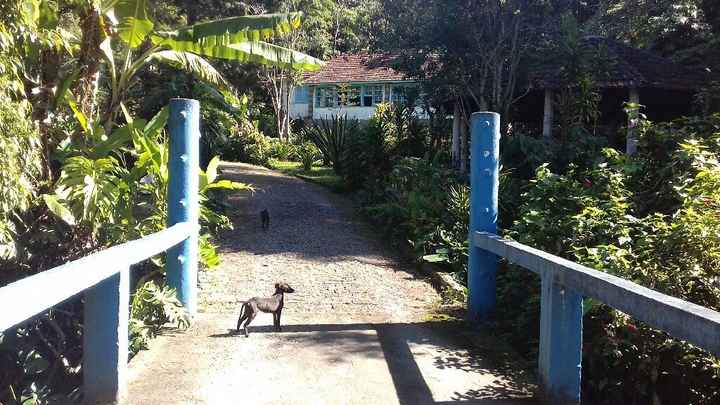 Sitio - 4