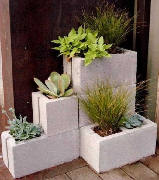 Vasos de plantas